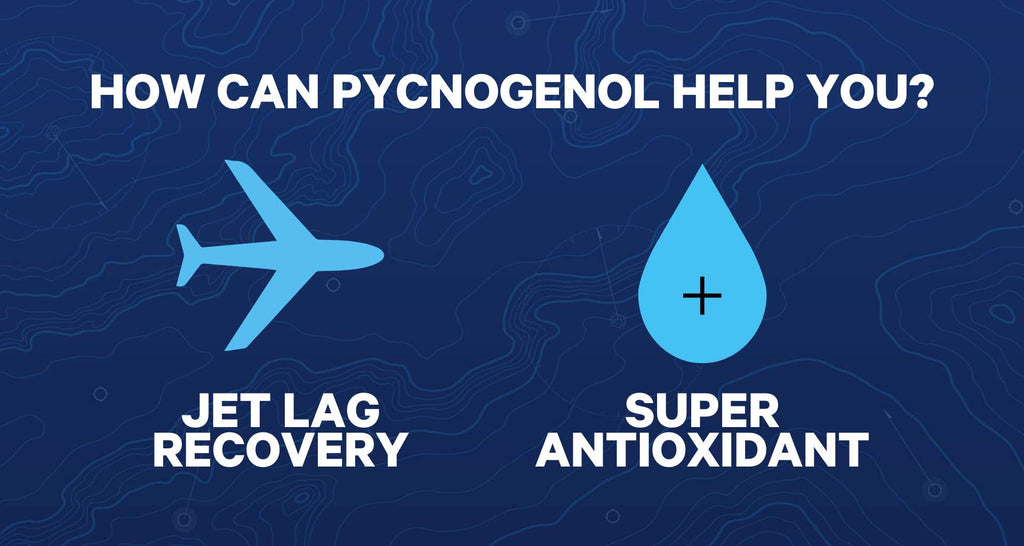 Key Things To Know About Pycnogenol 1Above Jet Lag Relief + Energy