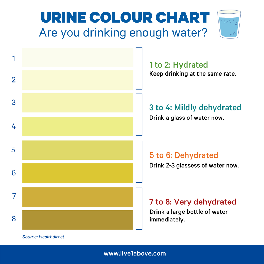 Urine colour chart 1Above Jet Lag Relief + Energy + Immunity